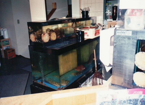 活魚水槽